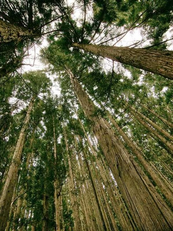 Man presenting on a board