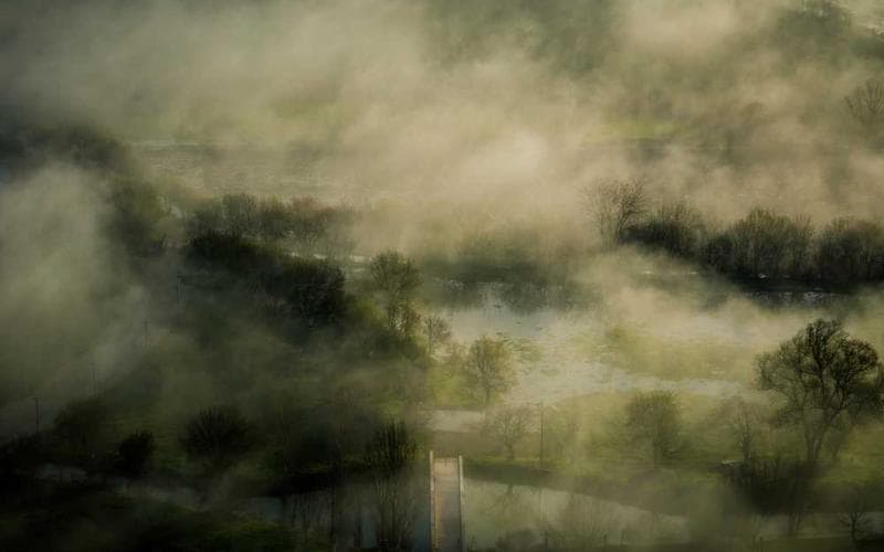 IT Management Services